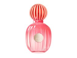 Perfume Banderas Mujer The Icon Splendid Edp 50 Ml